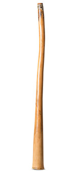 Kristian Benton Didgeridoo (KB435)